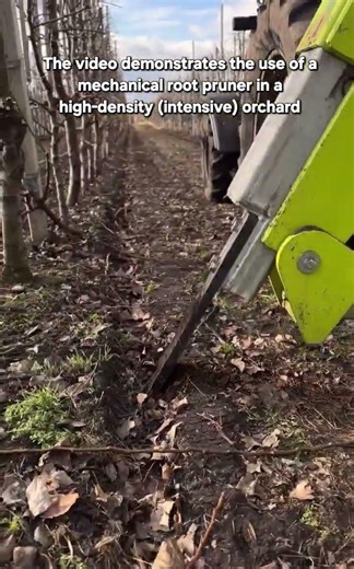Modern Root Pruning Machine for High-Density Orchards | Agricultural Innovation