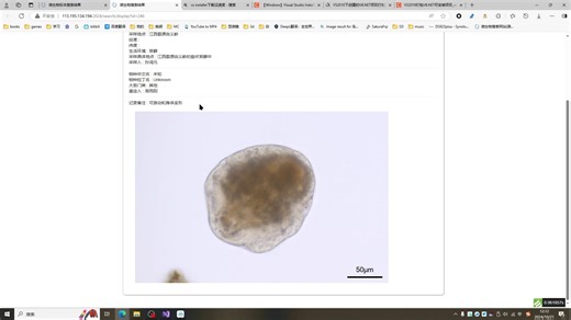 微生物镜检记录软件的操作教程