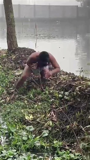 ফানি ভিডিও। ফানি রিল #funny #viral #viralvideo #foryou #tiktok #comedy