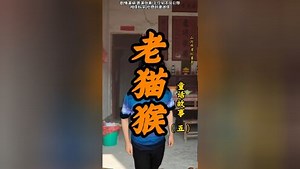 《老猫猴》第五集---老猫猴到底在遵守什么规则