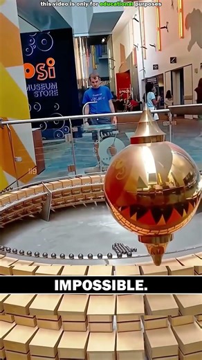 Your Brain is Lying to You #facts #shorts