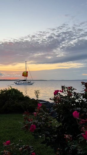 Concord Point Park | Malgorzata Baker Photography