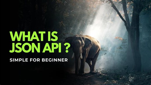 What Is JSON API? A Simple Explanation for Beginners | Muhammad Naufal