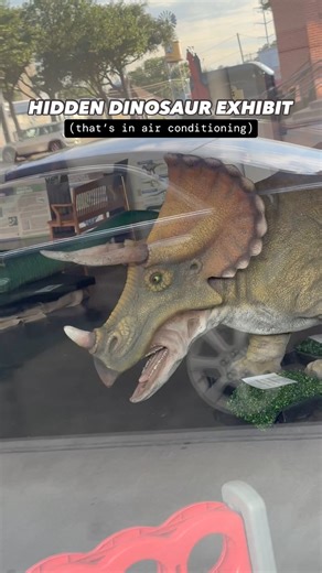 4.1K views · 36 reactions | 練 All Tracks Lead to Grapevine: A...