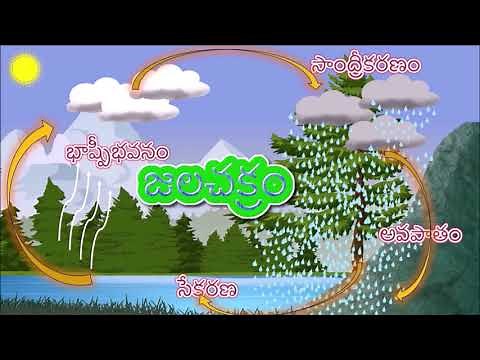 WATER CYCLE (TELUGU)