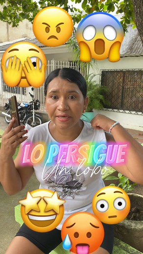 88K views · 455 reactions | Lo persigue un lobo #drama | Los Luna malambos | Facebook