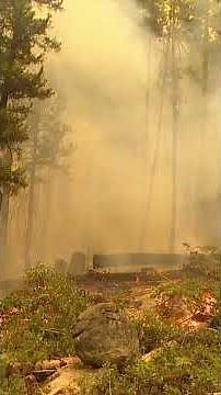 Staying safe during wildfire smoke