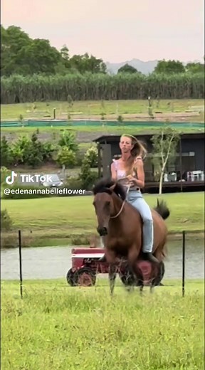 Eden Annabelle Flower on TikTok