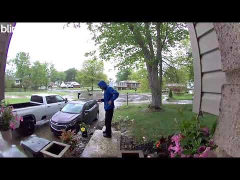 EcoShield Pest Control reviews: A guy with a blue ecoshield jacket came... | PissedConsumer.com