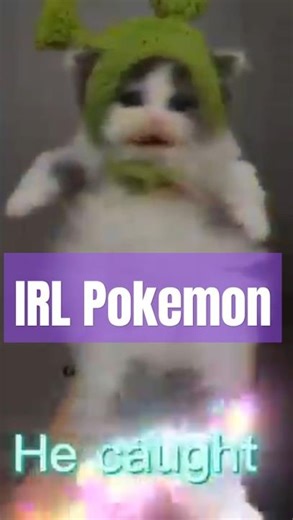 Man Finds Cute Alien Glorp Cat Like a Pokemon #cat #alien