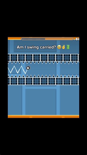 Furry boy is swing carried