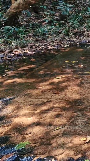 3.8K views · 70 reactions | Sacred Carvings & Forgotten Science |...