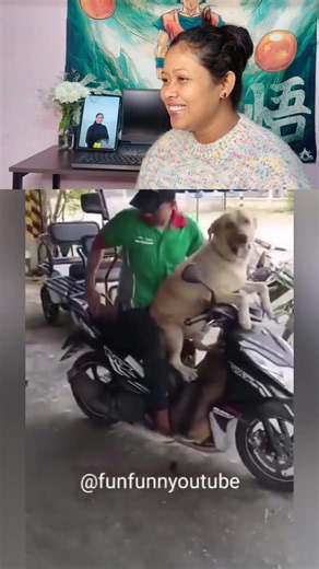 Dhoom 4 loading 😂 #dogeshbhai #funnydog #dogshorts #animalmemes #ytshorts #viral