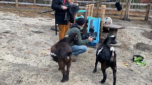 Lisa White Gray on Reels