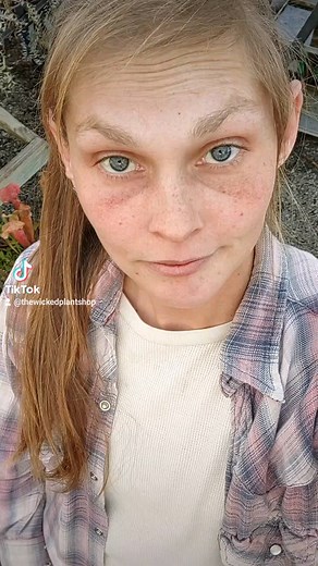 Peace Lily Problems/ No Drainage Welcome to another episode of "What the heck's wrong with that plant?!" where we talk about what's wrong with our plants to help you better understand what's wrong with yours! Let's save this piece Lily from the "no drainage blues" #peacelily #nodrainage #toowet #plantdoctor #isin #wickedplantdoctor #wickedplantshop #planttips #planttricks #planthelp #planthospital #kingsporttn #tricitestn | The Wicked Plant Shop