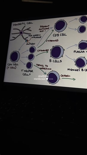 The Coolest and Most Fulfilling Field: Medicine