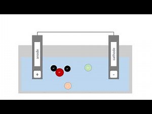 Electrolysis of Aqueous Solutions