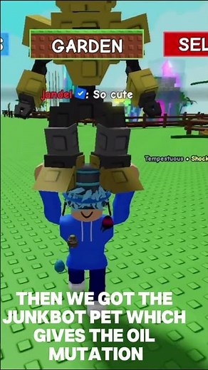 Flamingo admin abuse in grow a garden #robloxgrowagarden #roblox