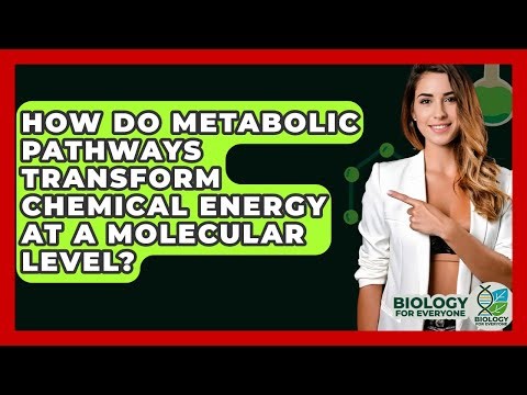 How Do Metabolic Pathways Transform Chemical Energy At A Molecular Level? - Biology For Everyone
