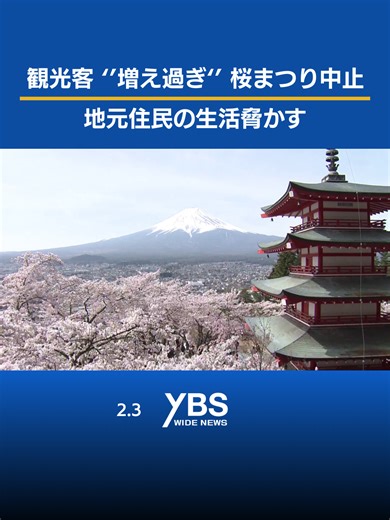桜祭りの中止と富士山の美しい風景