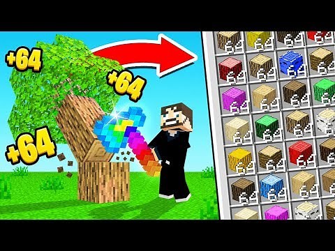 I Can't Believe THIS is POSSIBLE in Minecraft