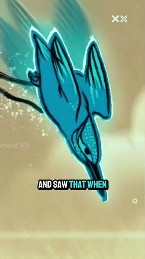 The Bird that Inspired Japan's Bullet Train Design 🚄#japan