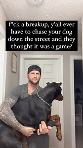 1.2M views · 24K reactions | This is the worst, Doberman owners, let's hear if you relate to this  . . Credit: @t.willy2 . . #doberman #dobermanpuppy #dobermanpinscher #dobermanlove #dobermansofinstagram #dobermanpride #dobermandogs #dobie #dobermanpuppy #dobermanpuppies #dobermanlovers | Doberman Training Mastery | Facebook
