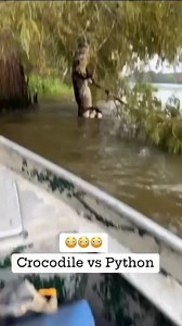 Python vs crocodile 🐊 . . . . . . . . . . . #watermonster #wildlife #crocodile #wildanimals. #viral #discovery | Ritik Sharma