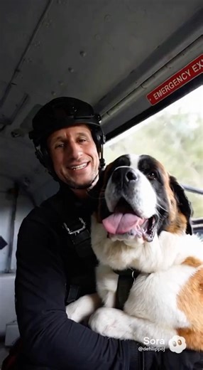 Nobody Rescues Dogs Like I Do 😂🐾