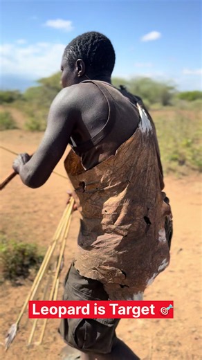Chabaa Hunting a Leopard: Live Target Encounter