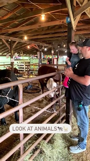 The Surry County Agricultural Fair is back in town🎟️ Gates are open from August 9th - 13th at Veteran’s Memorial Park!! 🎡Thursday, August 10th - Veterans Night: free gate admission with military ID for up to four family members open 5 PM - 10 PM. 🍬 Friday, August 11th - General admission $6 open from 5 PM - 11 PM. 🎠 Saturday, August 12 - General admission $6 open from 3 PM - 11 PM. 🎯 Sunday, August 13th - Family Fun Day: $12 gate admission for a family of up to five people open from 3 PM - 