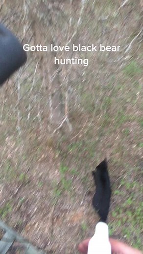 Hunting Bears - Epic Videos of Bear Hunt Adventures