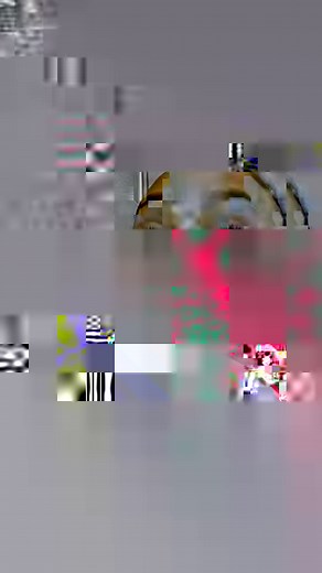 Husbands 10 commandments 😱 for Bible men listen carefully 😂 by apostle Johnson suleman 😳 #fypシ゚viralシ #reelsfbシ #relationships #marriage #quotes #new #listen #realfavourgeneral #favourgeneral #facts #reality #truth #words #tbt #trend #pastors #Apostle #bible | Favour General