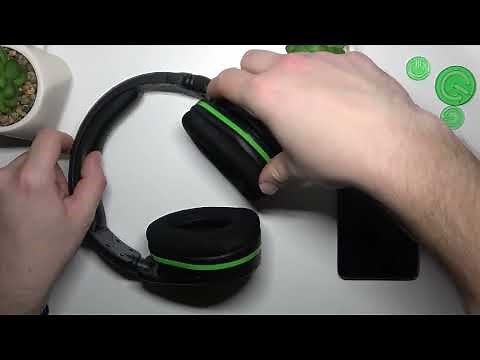 How to Optimize Your Turtle Beach Stealth 600 Microphone for Gaming