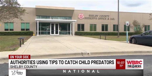 Authorities using tips to catch child predators