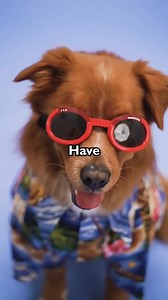 3K views | Mysterious facts you didn’t know about dogs’ eyes! " #DogEyes #DogFacts #PetLovers #AnimalSecrets #DogVision | Paws & Hearts | Facebook