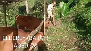 139K views · 231 shares | It's a responsibility to help others. To be a positive Example. #Each one help one team shri Laten sherpa reached to the house of elderly bajay to extend financially RS:-1000/- monthly which is provided by Nim Lhamu sherpa from Bermoik palak south sikkim. Report by Manita Biswakarma. | Sikkim Messenger | Facebook