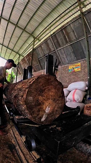 the best splitting skill | Putirana Woodworker