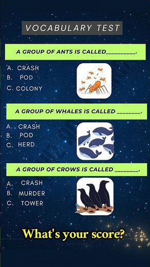 Vocabulary Test 2: Collective Nouns for Animals 🐜🐋🐦‍⬛