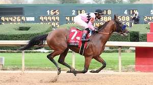 Concert Tour: What to know about the 2021 Kentucky Derby horse