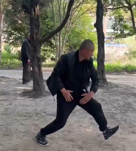 心意六合拳名师井森金先生弟子周永华演练的猴形七星