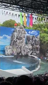 Amazing day at Safari world Bangkok #bangkok #thailand #safari #animals