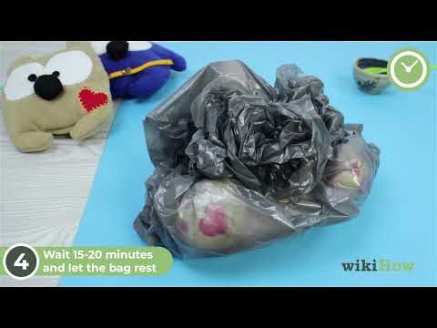How to Handwash a Stuffed Animal