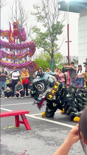 🖤 Fearless Black Lion Dance | Powerful Southern Lion Performance 🦁🔥