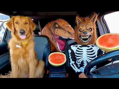 Wolf Surprises T-Rex & Puppy with Car Ride Chase