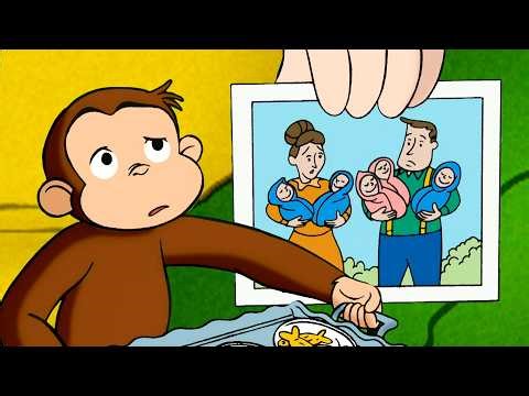 How Many Siblings!? 🐵 | Curious George | Together Time