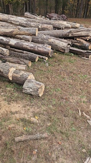 Workin flow in this cold if yal need fire wood let us know | Barefoot Rob