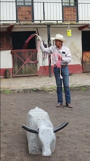Consejor para lazar ganado con el Profe Lopez #teamroping