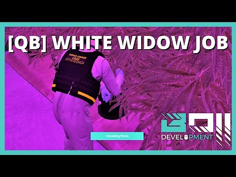 QBCore White Widow Job Script V1.1 | FiveM Roleplay Scripts | BOII Development