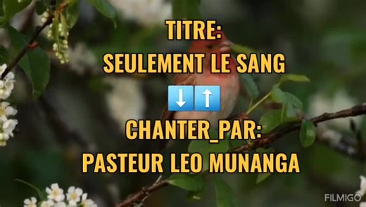Les Bonnes Chansons du Message du Temps de la Fin